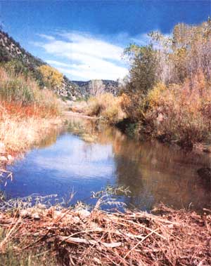 Homesteaders Turned Conservationists Head Back to The Land